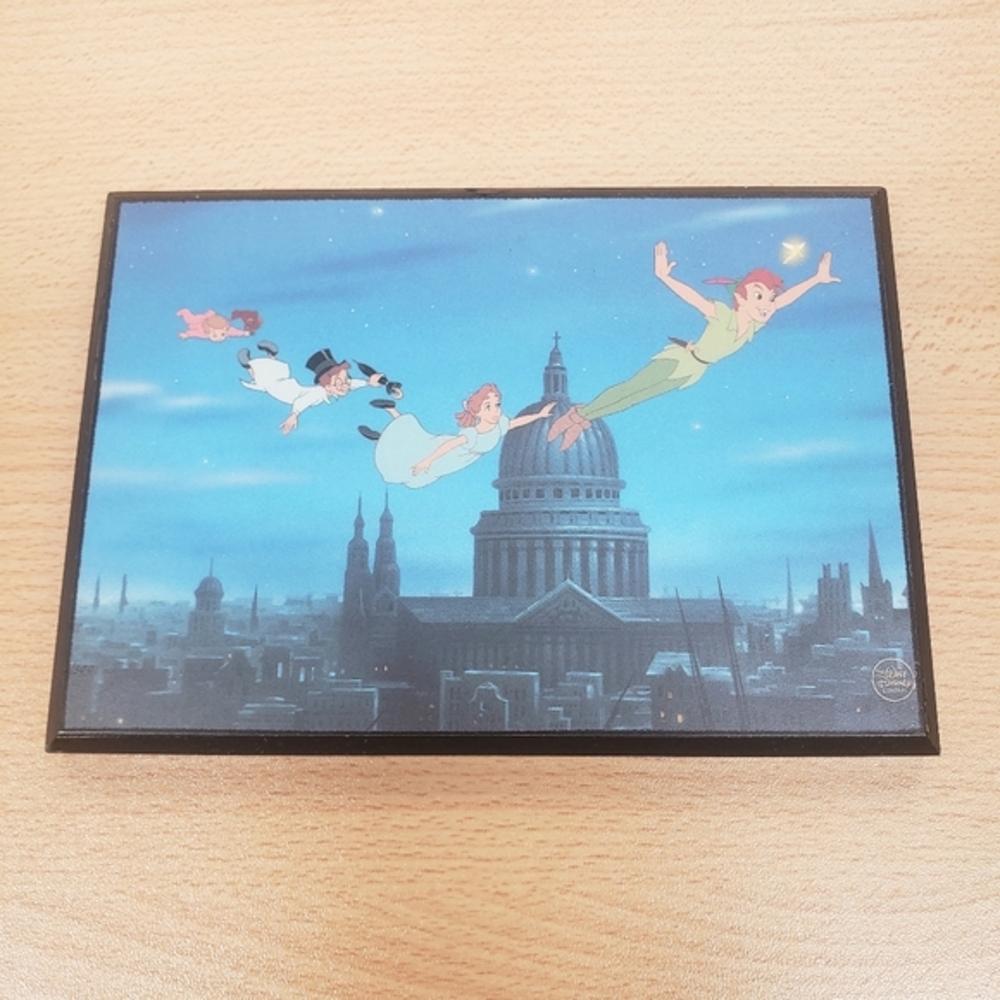 Disney Peter Pan Wall Art Plaque 4x6
